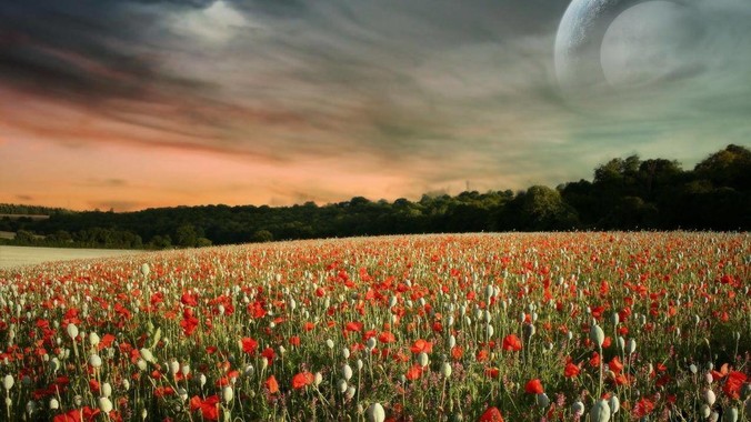 宠物看到一丝不挂的你, 都会想些啥?